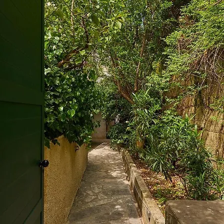 Hedera Estate, Hedera A32 دوبروفينك