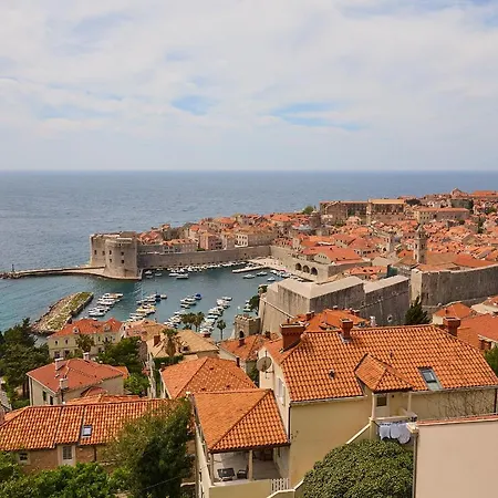 Hedera Estate, Hedera A32 *